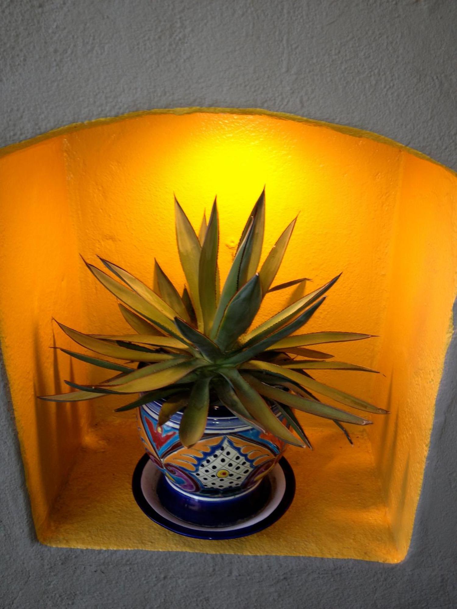 Agave Inn Santa Barbara Dış mekan fotoğraf